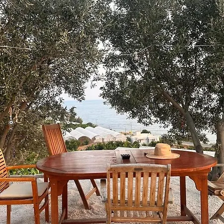 Feri * Αλάνια