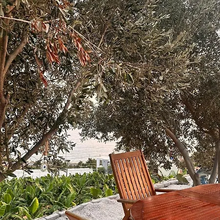 Feri Αλάνια